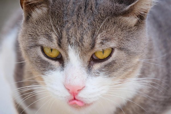 What role does technology play in transforming the UK real estate sector?